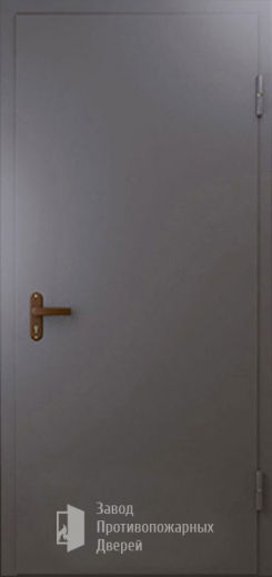 Фото двери «Техническая дверь №1 однопольная» в Дедовску