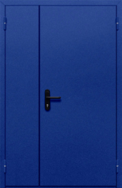 Фото двери «Полуторная глухая (синяя)» в Дедовску