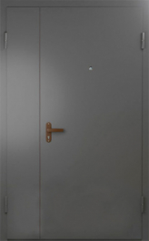 Фото двери «Техническая дверь №6 полуторная» в Дедовску